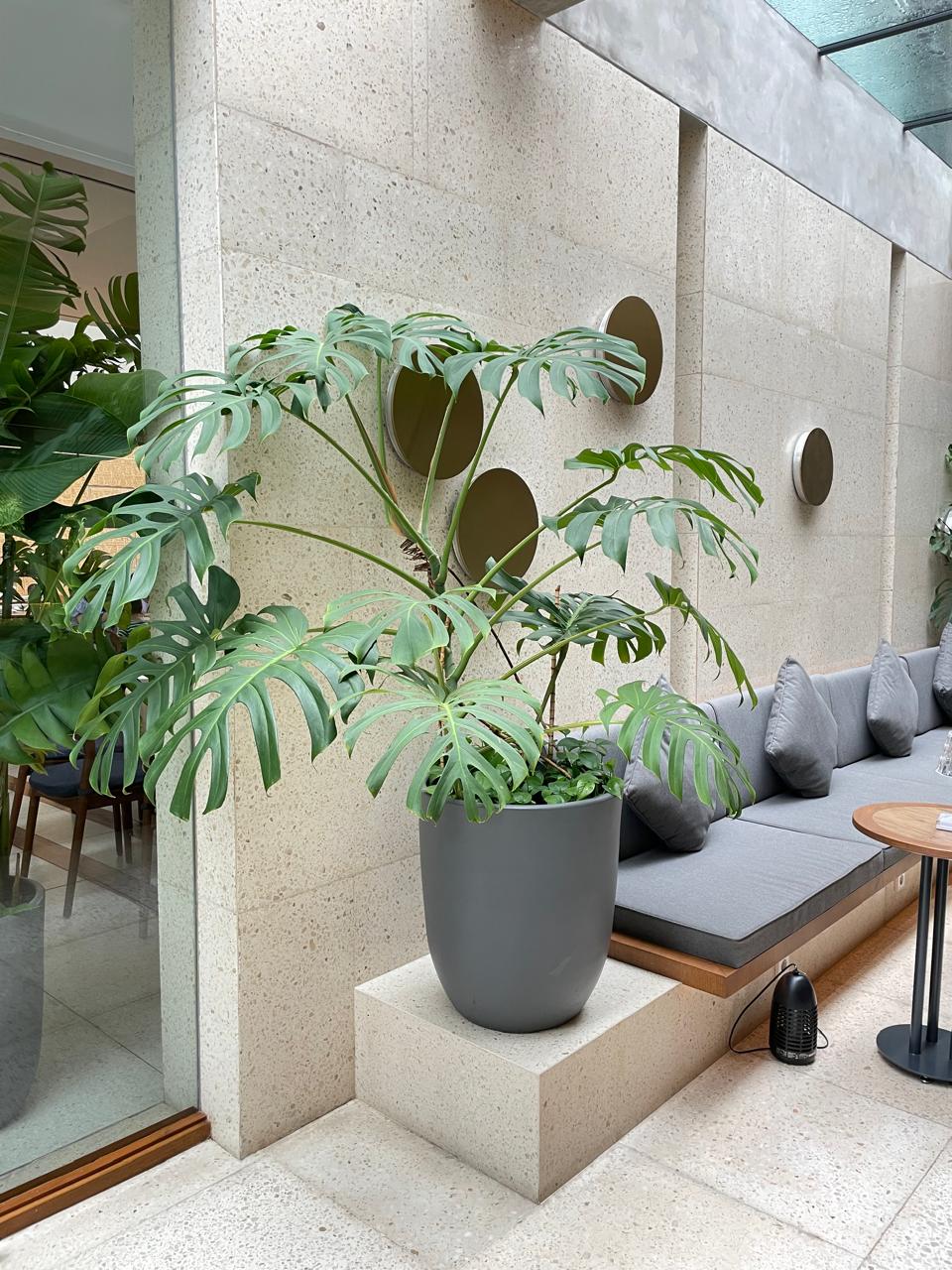 Terracotta Medan - Cafe PB 1