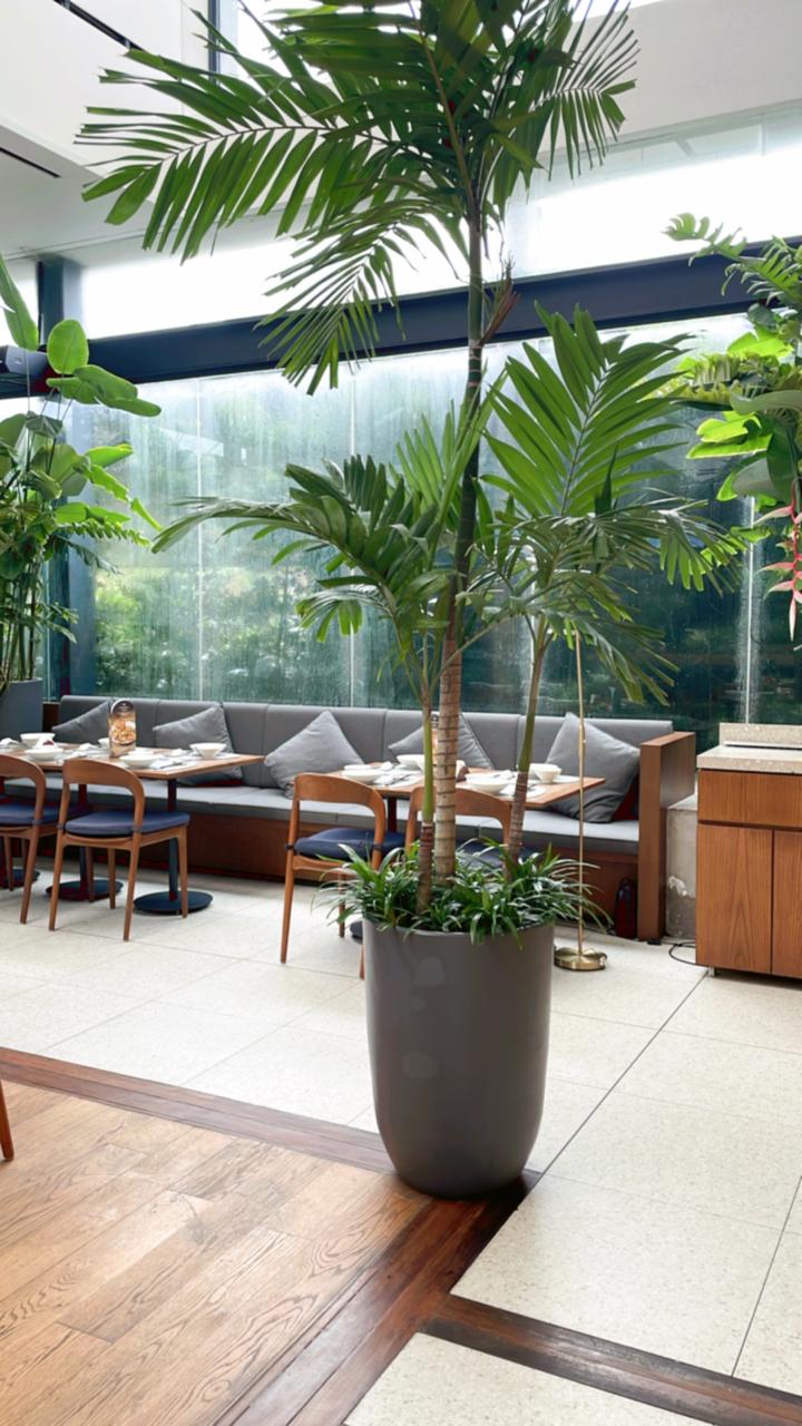 Terracotta Medan - Cafe PB 5