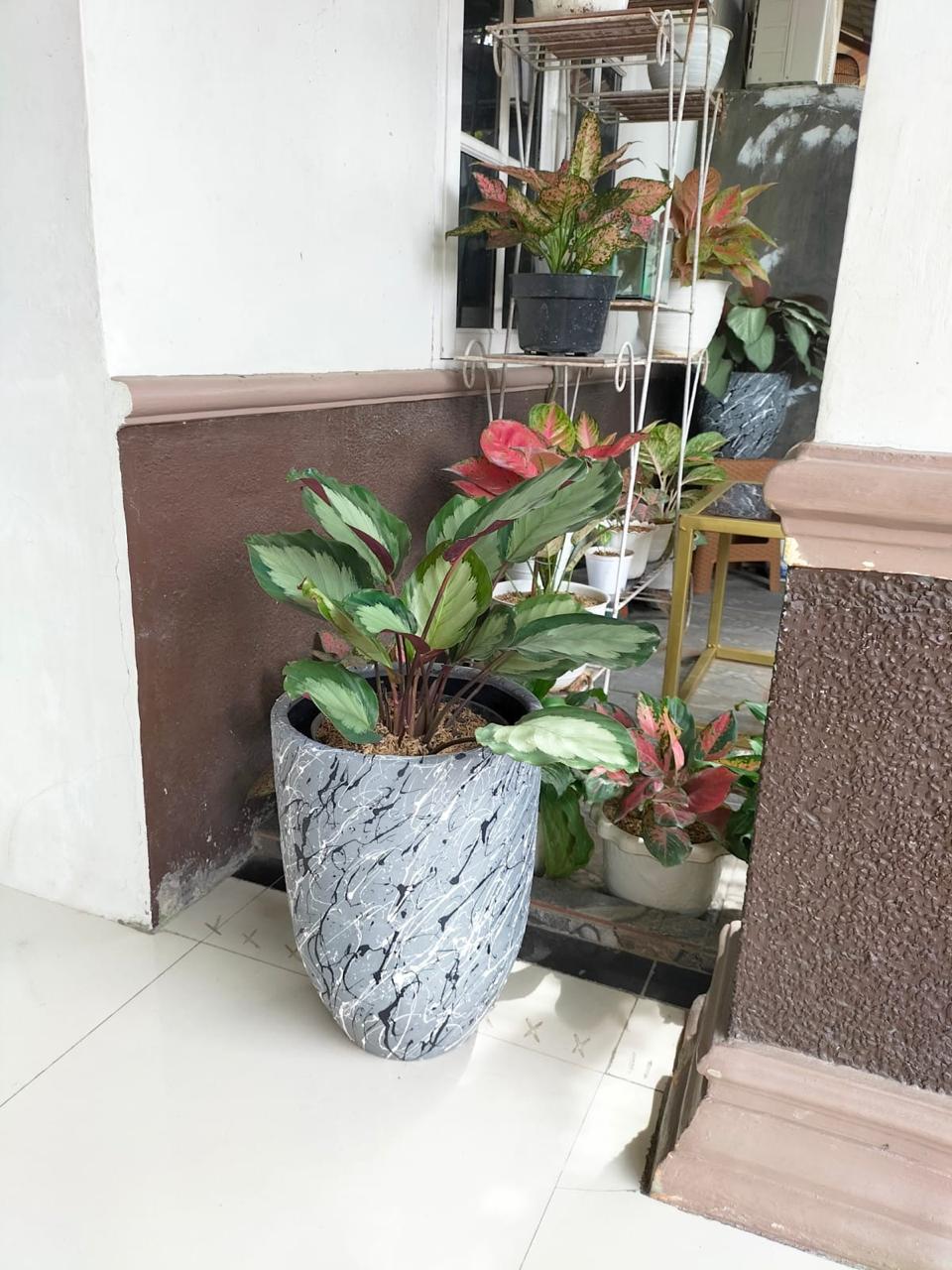 Terracotta Medan - Home 3