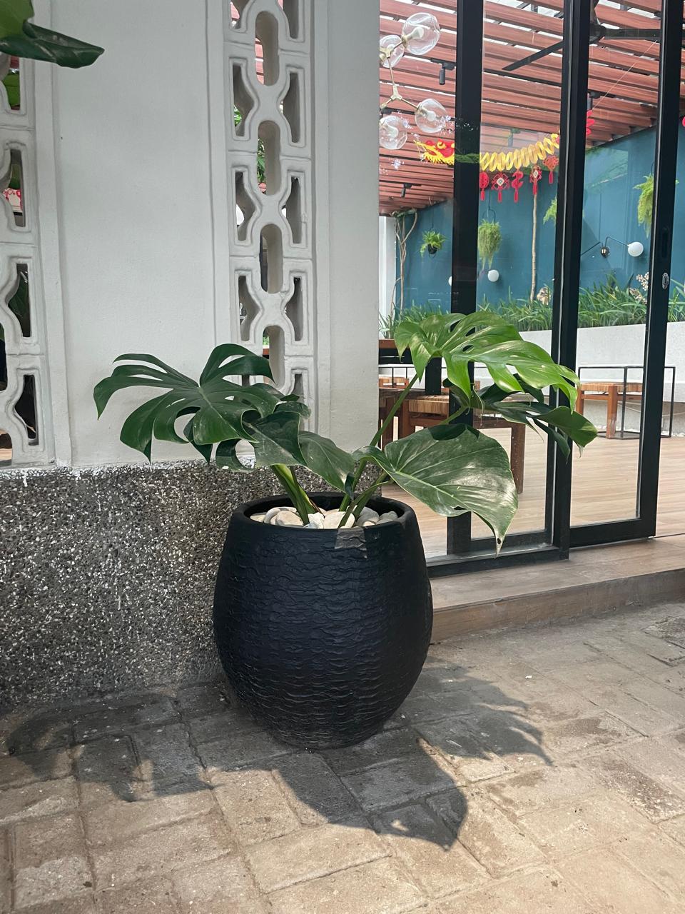 Terracotta Medan - Cafe PL 1