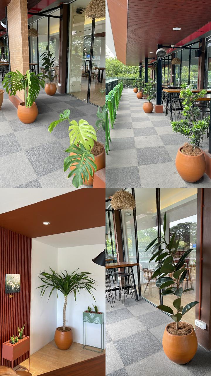 Terracotta Medan -  Cafe GP 3