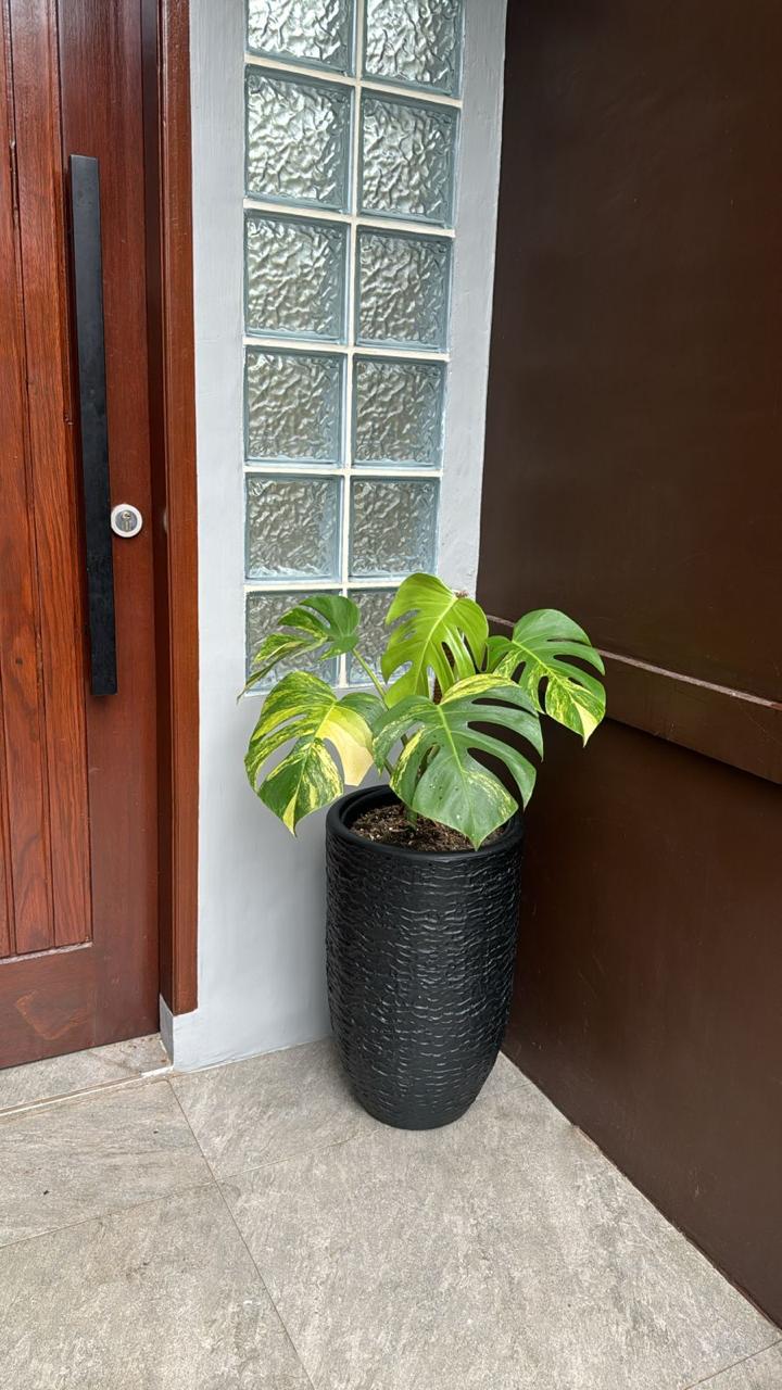 Terracotta Medan - Home